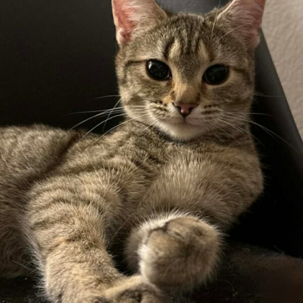 657679103_907139532285224_2390115853661673898_n