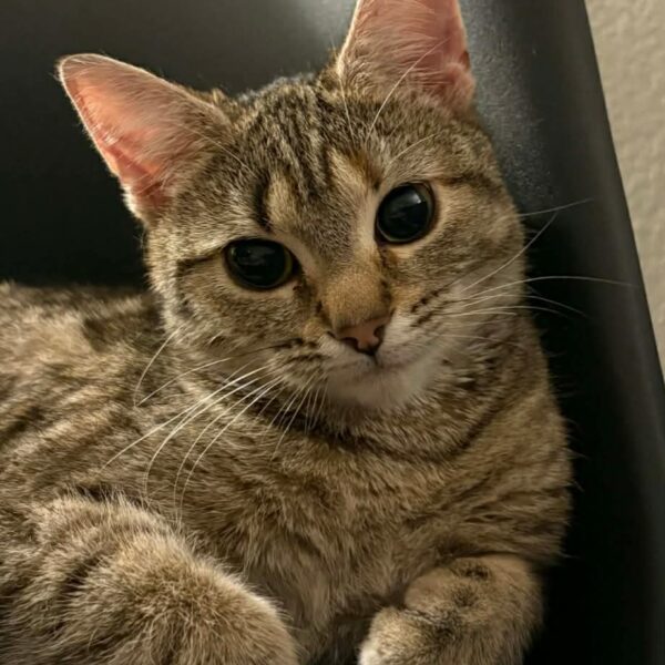 659727615_4406999136243998_4020960644126989018_n