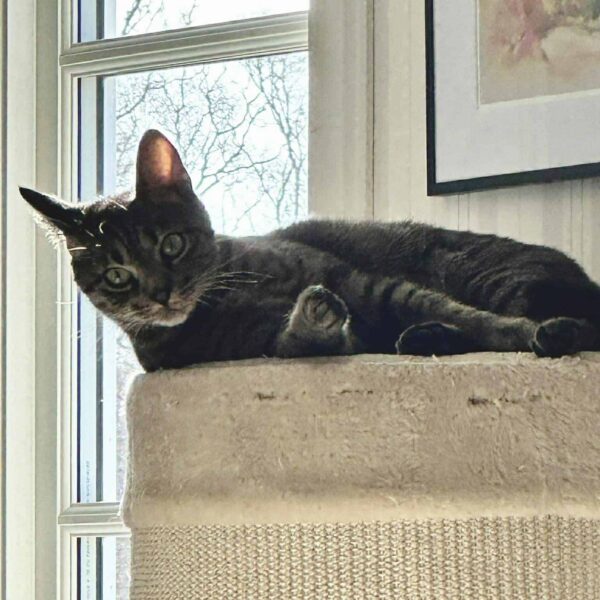 664861866_1234054705164552_8246816466687626532_n