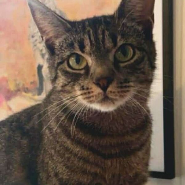 664938395_920145574158126_6687352471162911204_n