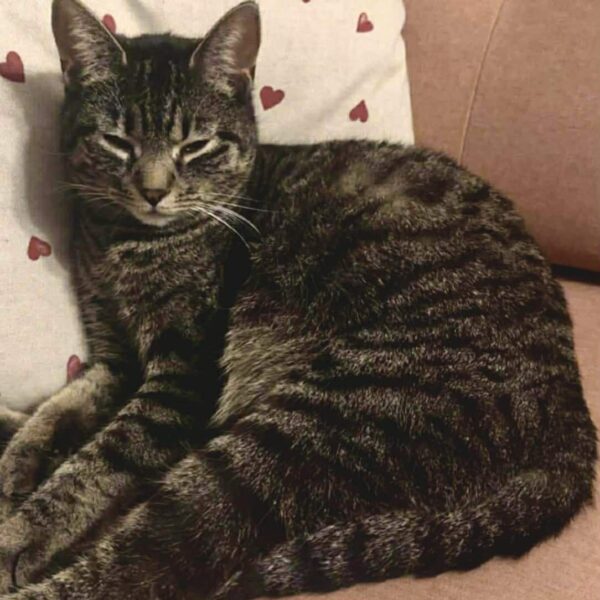 666073932_1855037498546991_7709251322221488848_n