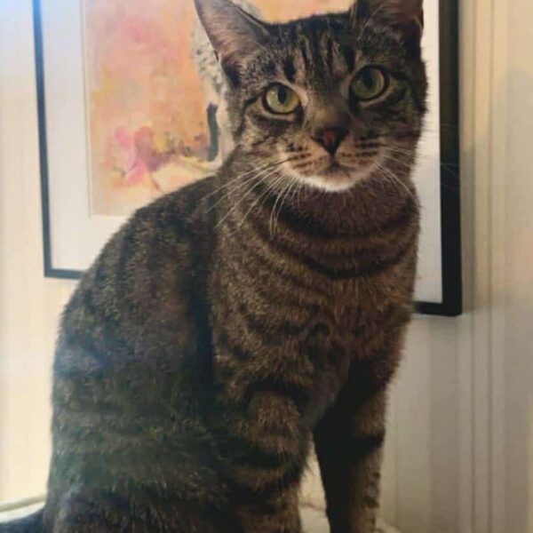 668898369_1426237055920505_8063554982353156048_n