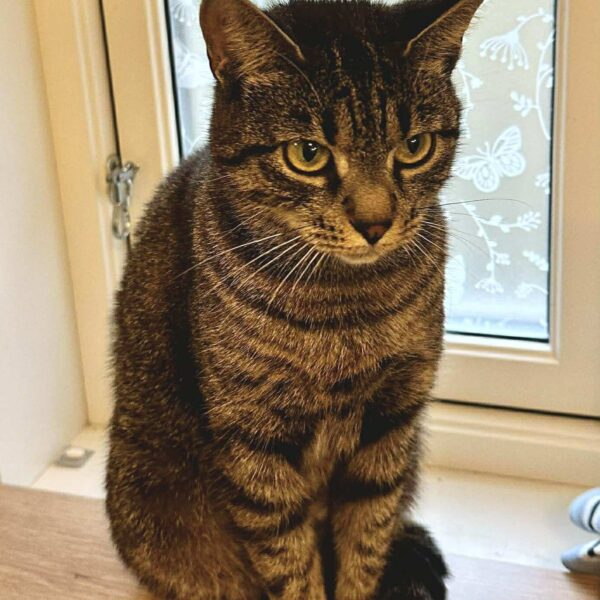 670924704_2149677885867225_1180742539041566059_n