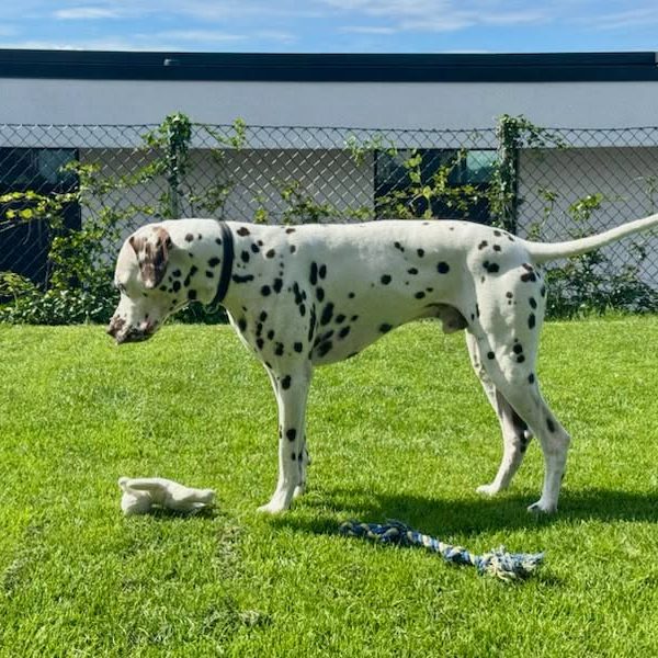 763980316_2171374526977236_7357225215668478900_n