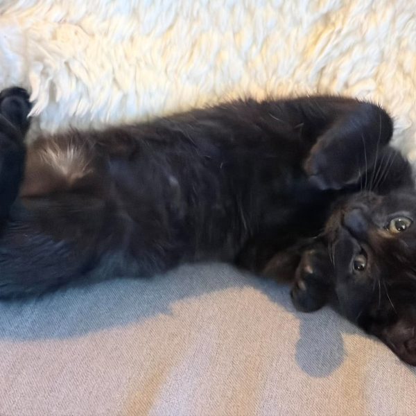 834902070_2004224070442756_5699571797691944401_n